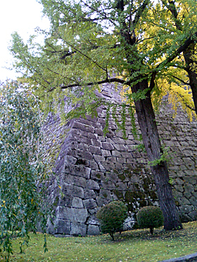 ���h�ȏ�ǂ̐����隬�i�������j