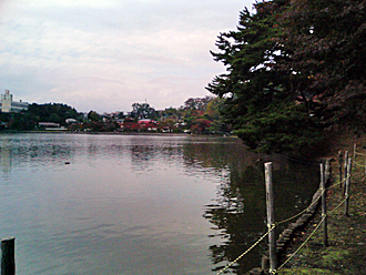 �����̒r�Ə��q�Z